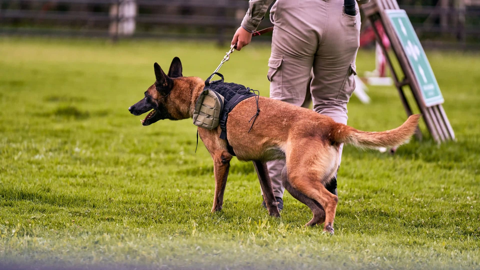 K9 security team providing trained dog and handler support at a commercial property