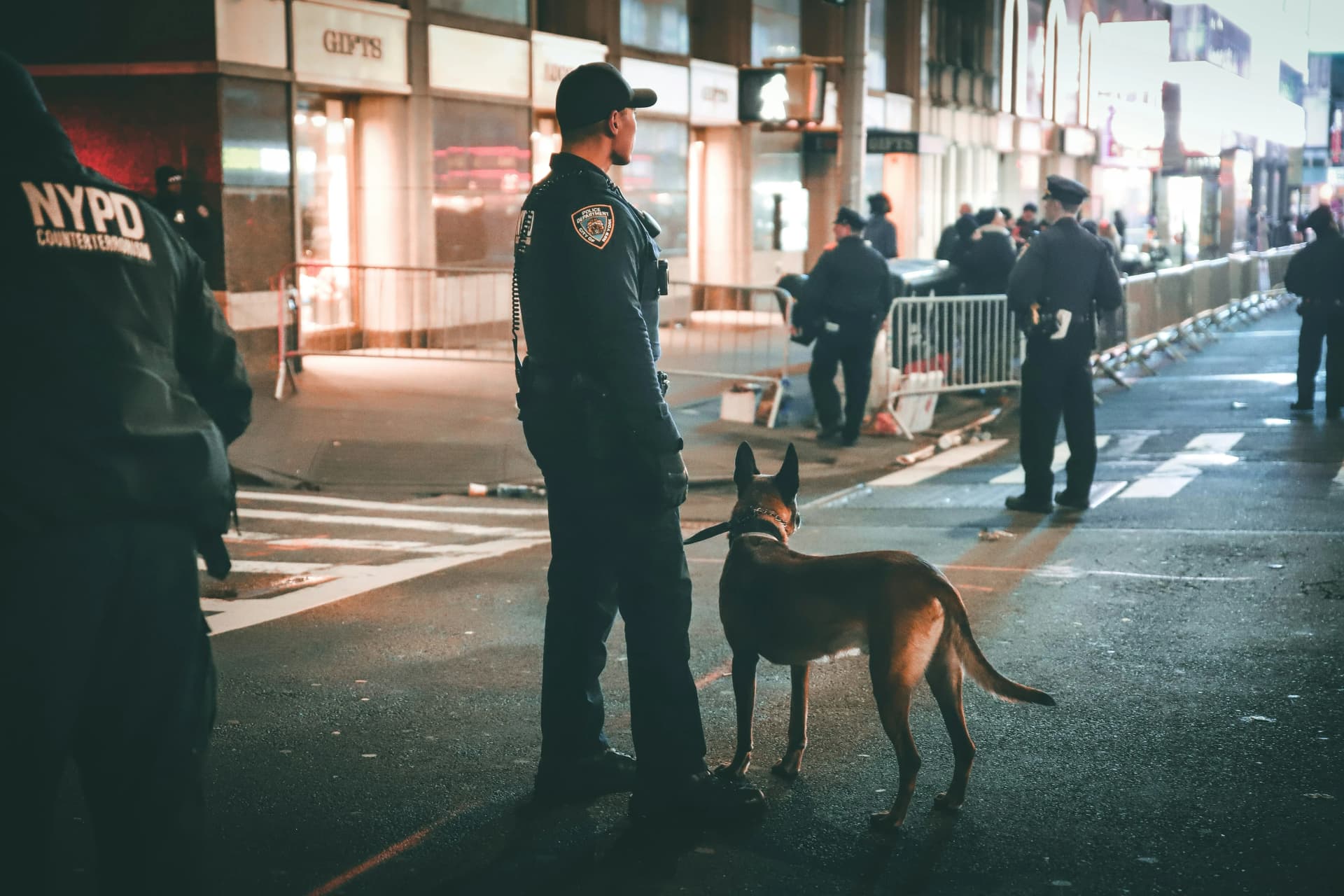 K9 security team providing trained dog and handler support at a commercial property