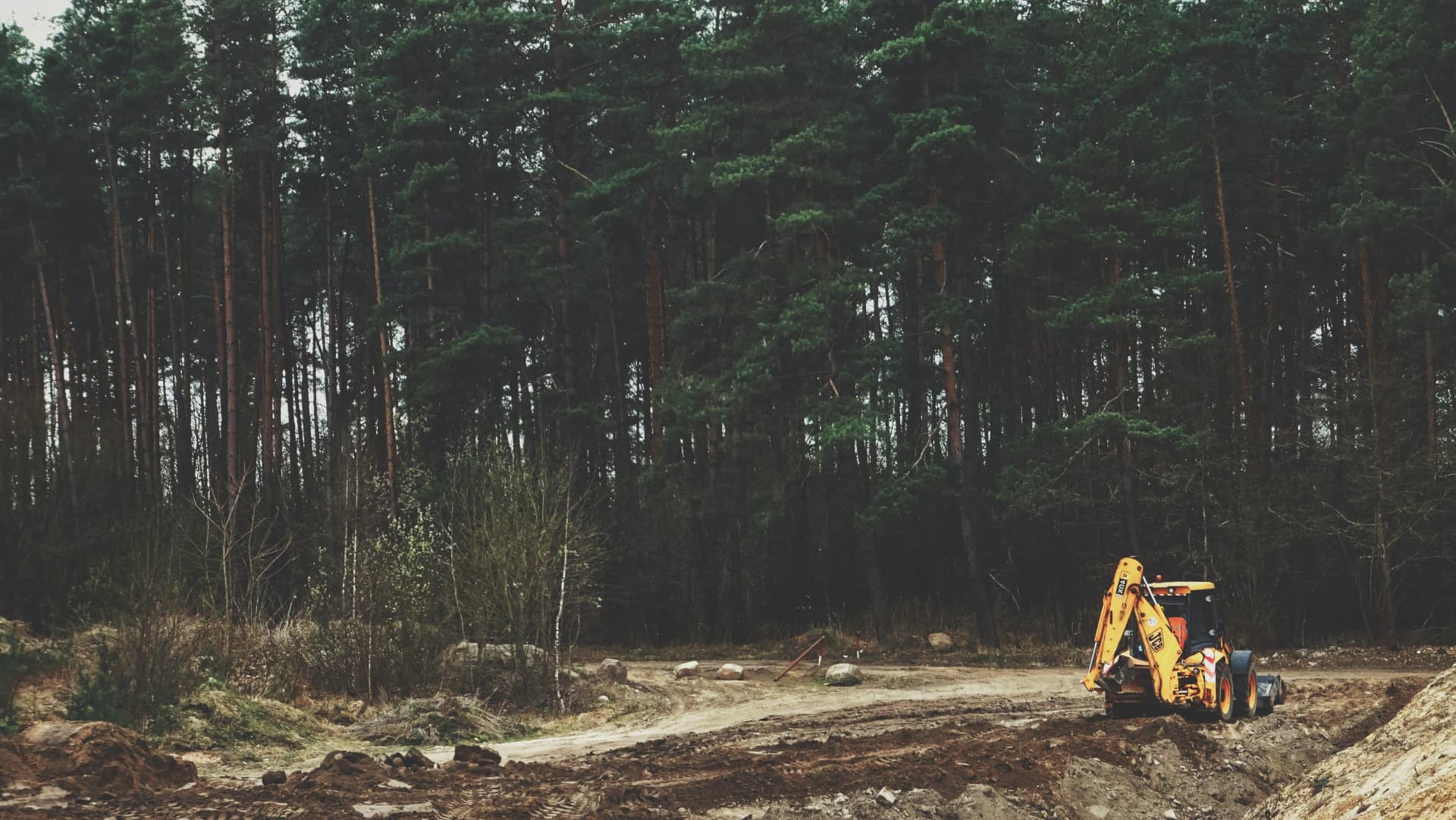 Tree and stump clearance as part of site preparation